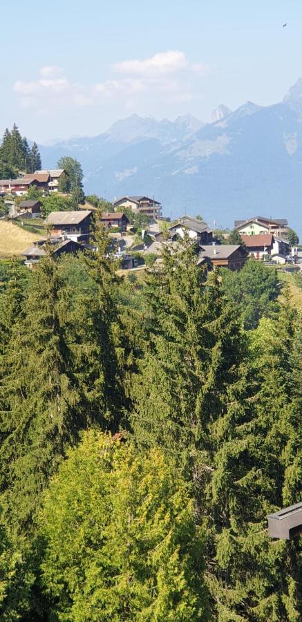 Residence « Les Cretes » Torgon المظهر الخارجي الصورة